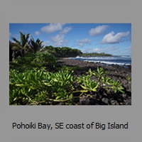 Pohoiki Bay, SE coast of Big Island